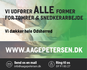 SNEDKER- OG TØMRERMESTRE AAGE PETERSEN & SØN ApS