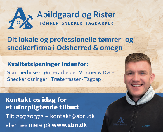 Abildgaard og Rister