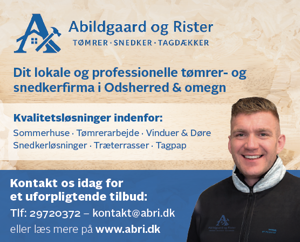 Abildgaard og Rister