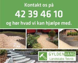 Gyldenvang Anlæg & Entreprise